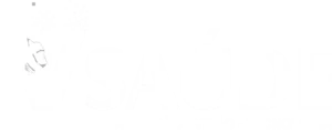 logo_rv_branco